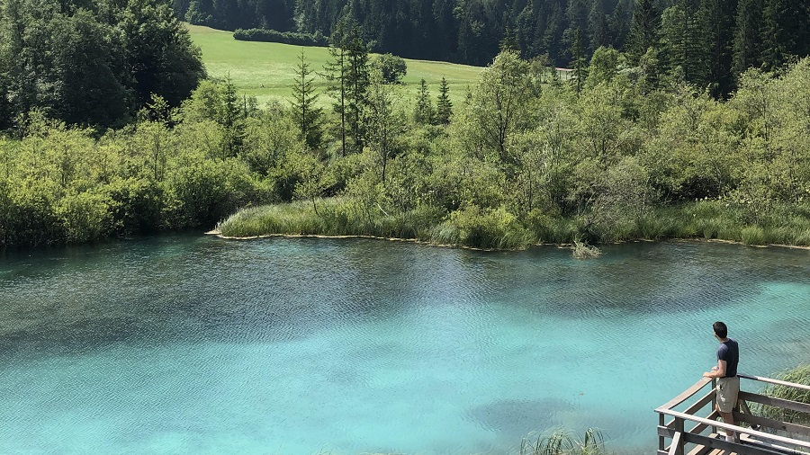 Zelenci Lake