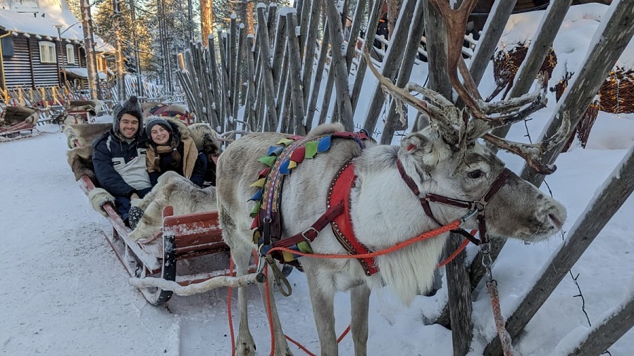 Santa Claus reindeer