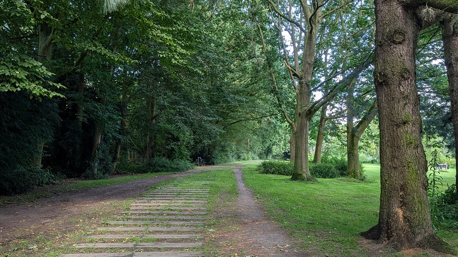 Gebroeders van Raemdonck