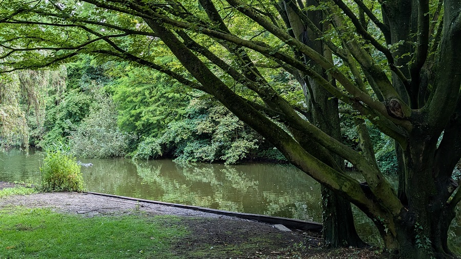 Gebroeders van Raemdonck